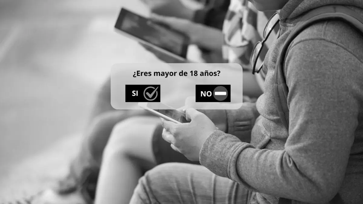 Sistema de verificacion de edad en linea Comision Europea