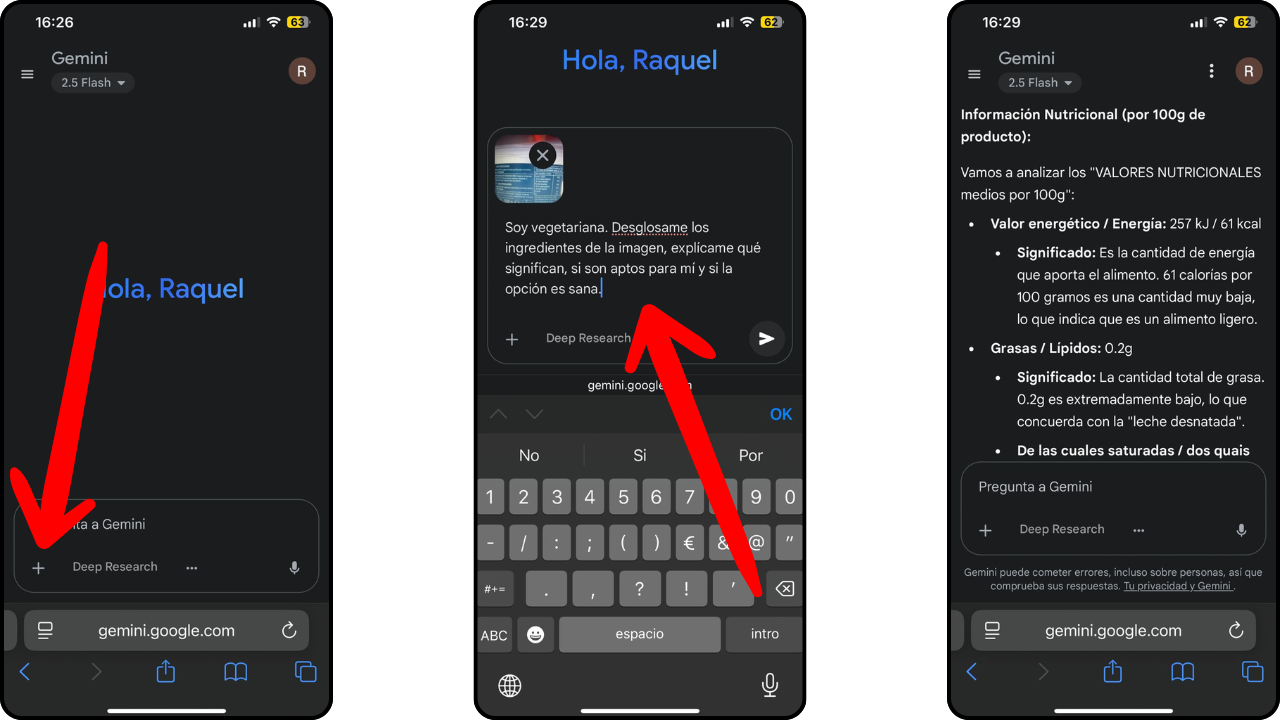 preguntar gemini ingredientes producto