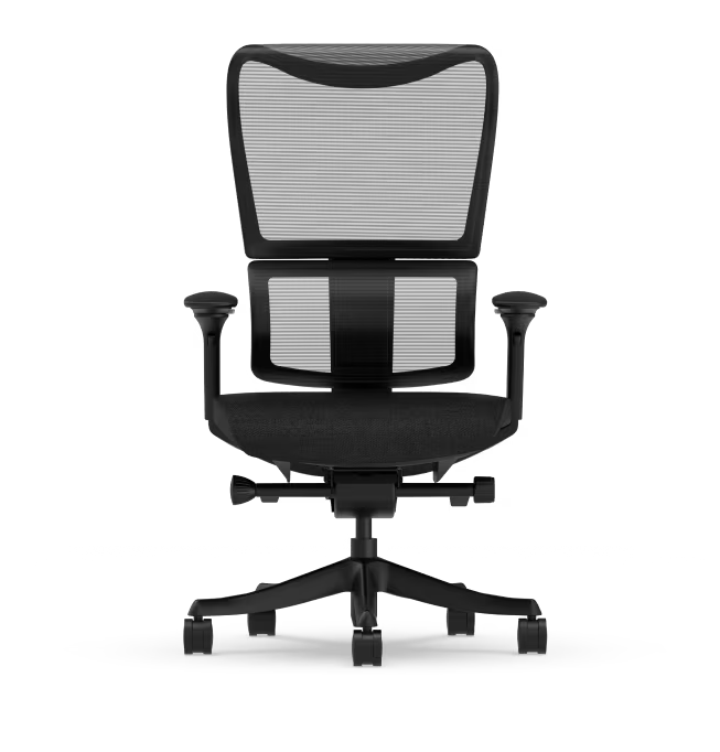 Silla Ergonómica con Respaldo Contorneado de Gran Tamaño (BS8 Pro)