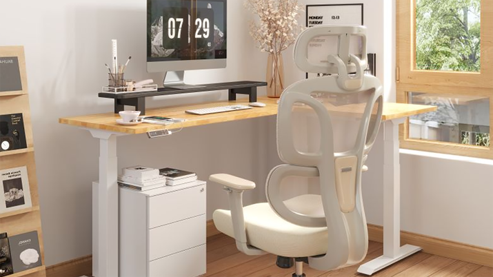 Escritorios FlexiSpot