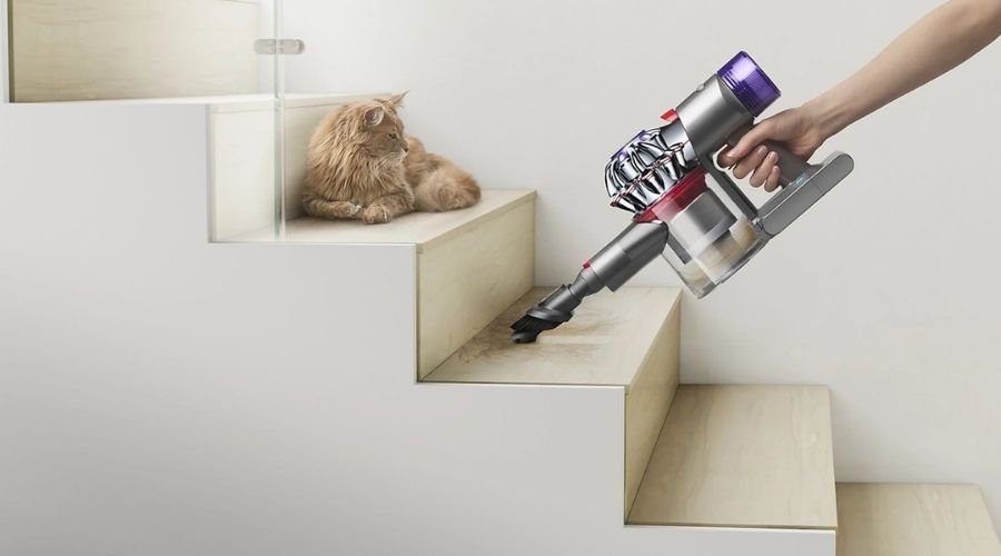 dyson v8 advanced en uso con gato