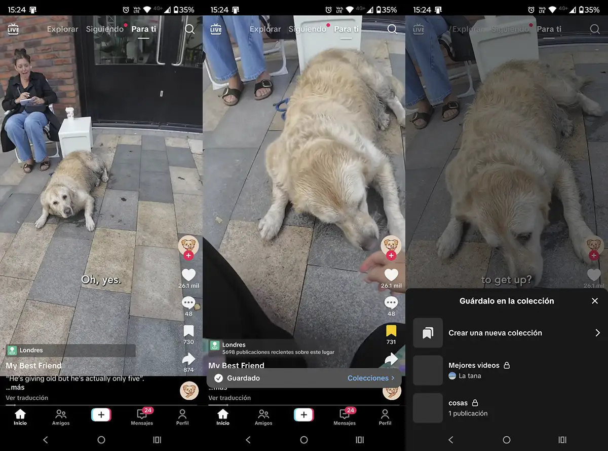 Colecciones compartidas TikTok