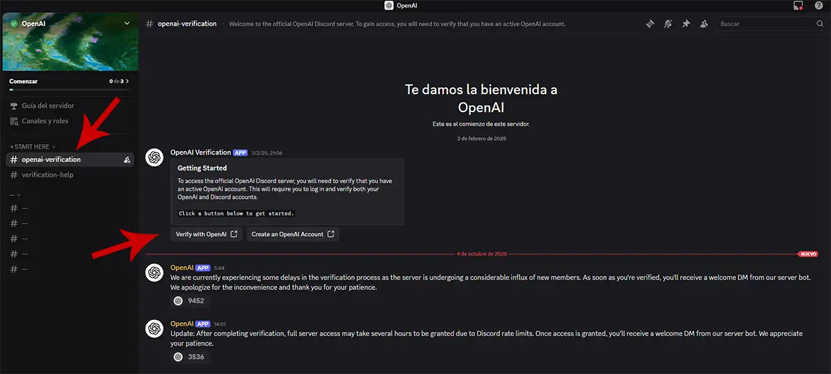 Iniciar verificación en OpenAI