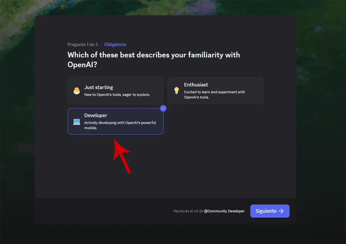 Personalizar experiencia en Discord