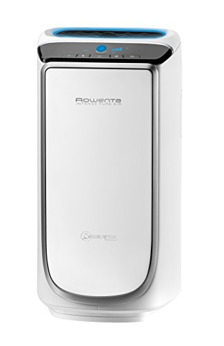 Rowenta Intense Pure Air PU4020 opiniones