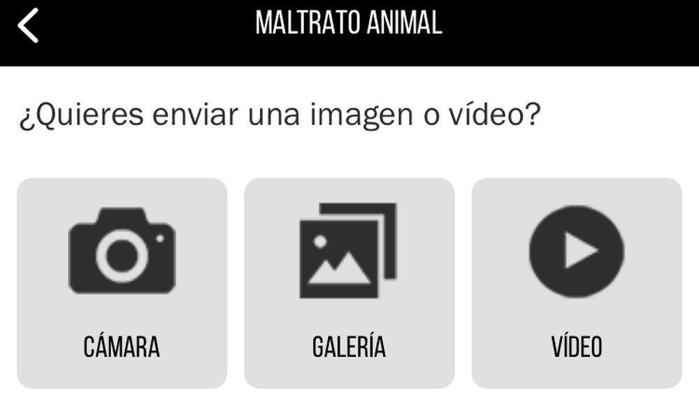 Envío de pruebas de maltrato animal en AlertCops