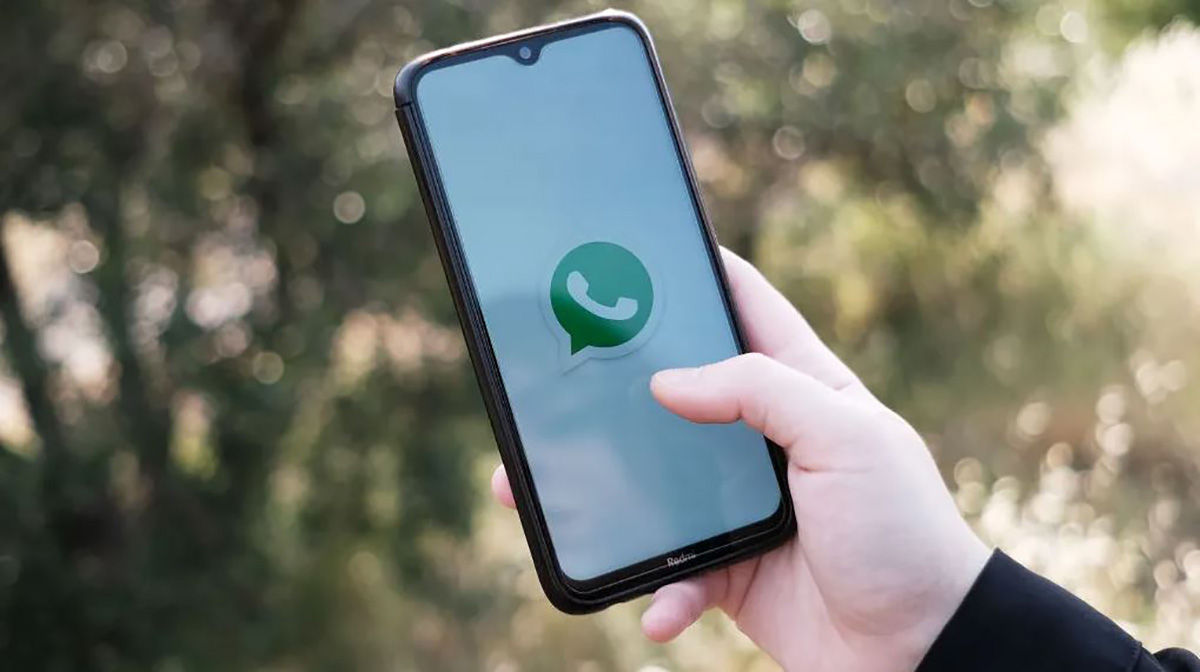 Cuándo estará lista la función de cambiar el color de WhatsApp