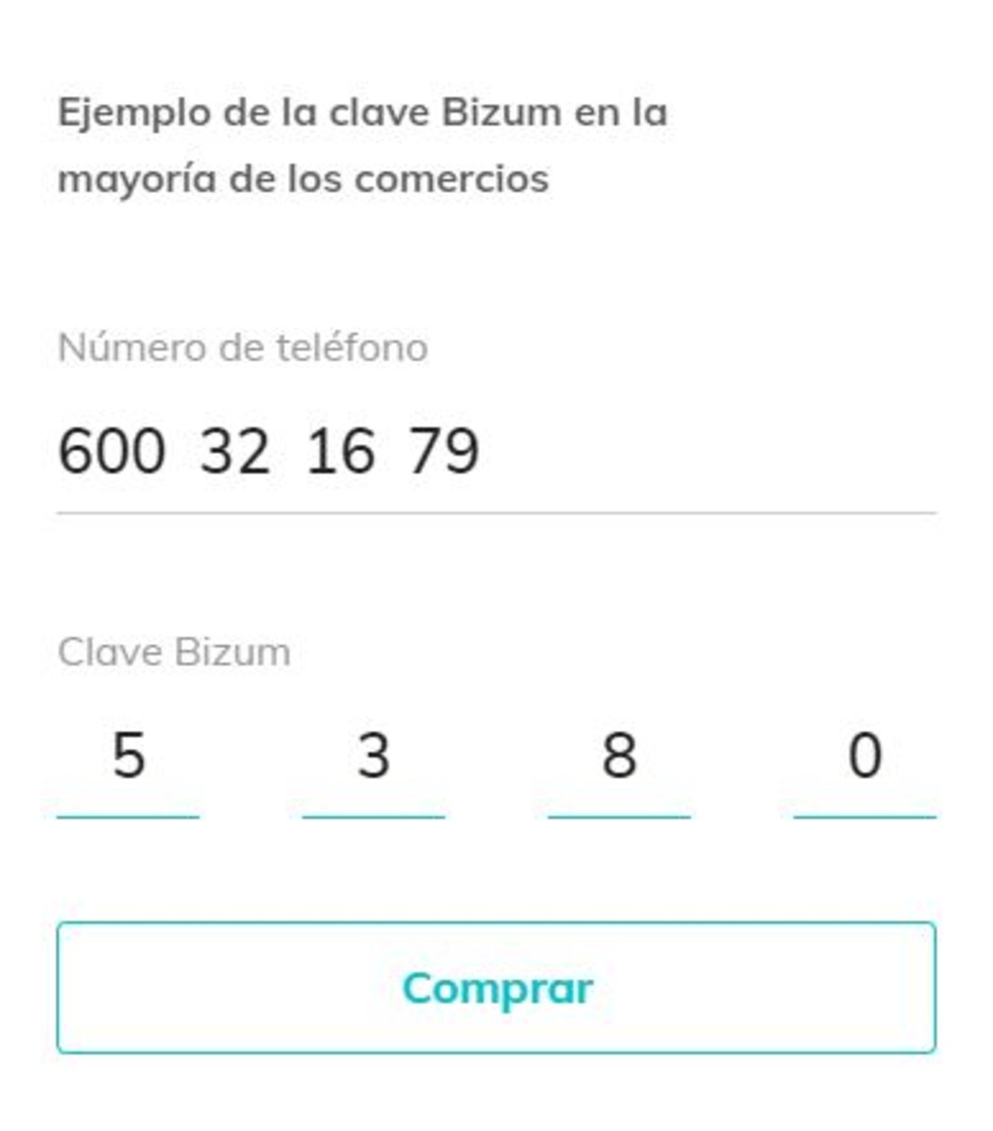 Pago con Clave Bizum en una tienda online