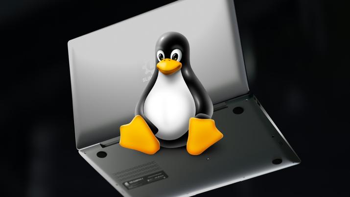 Portátil con Linux